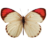 Mariposa Rota